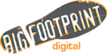 Big Footprint Digital