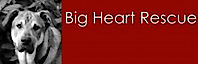 Big Heart Rescue Society's logo Big Heart Rescue Society's Company logo