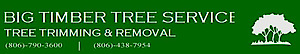 Big Timber Tree Service's logo Big Timber Tree Service's Company logo