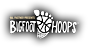 Bigfoot Hoops's company profile