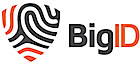 BigID's logo BigID's Company logo