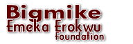 Bigmike Erokwu Foundation's logo Bigmike Erokwu Foundation's Company logo