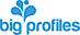 Bigprofiles's company profile