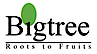 Bigtree 