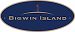 Bigwinisland's logo Bigwinisland's Company logo