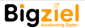 Bigziel