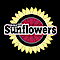Bikefit Sunflowers