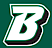 Binghamton University