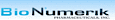 BioNumerik Pharmaceuticals