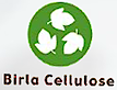 Birla Cellulose's logo Birla Cellulose's Company logo