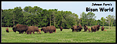 Bison World's logo Bison World's Company logo