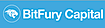 BitFury Capital
