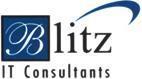 Bitz It Consultants's logo Bitz It Consultants's Company logo