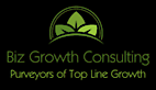 Biz Growth Consulting