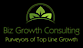 Biz Growth Consulting's company profile