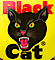 Julie Mcguffee's Competitor - Black Cat Fireworks logo