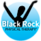 OneAccord Physical Theraphy's Competitor - Black Rock Pilates Studio logo