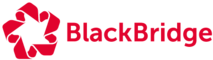 BlackBridge's logo BlackBridge's Company logo