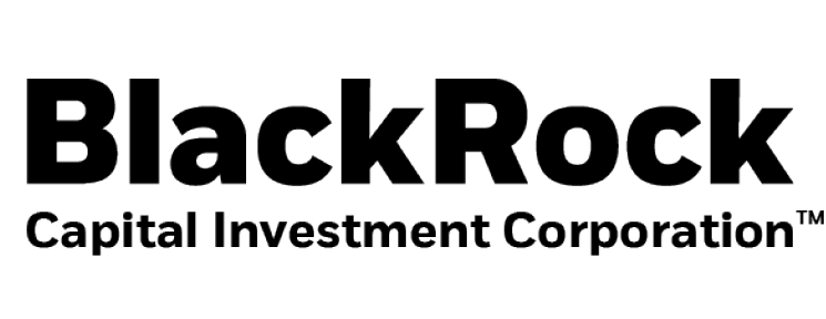 Blackrock Capital Investment