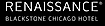 Blackstone Renaissance's company profile
