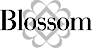 Positronic Design's Competitor - Blossom Software LLC logo