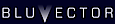Blu VectorCyber's company profile