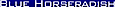 Bizvizable Pittsburgh's Competitor - Bluehorseradish logo