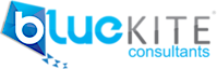 Blue Kite Consultants's logo Blue Kite Consultants's Company logo