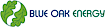 Blue Oak Energy's company profile