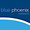 Abbott Systems's Competitor - Blue Phoenix Network logo