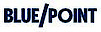 Blue Point's company profile
