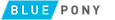 Blue Pony's company profile