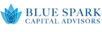 Blue Spark Financial