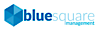 Blue Square Management