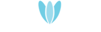 Blue Tulip Chocolates