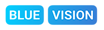 Blue Vision Labs Inc.