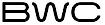 Blue Wire Capital's company profile