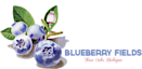 Blueberry Fields's logo Blueberry Fields's Company logo