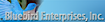 Tec Protective Coatings's Competitor - Bluebird Enterprises logo