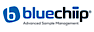 Bluechiip's company profile