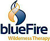 Bluefirewilderness's logo Bluefirewilderness's Company logo