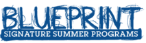 Bpsummerprograms