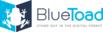 Bluetoad