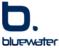 Bluewater, Inc.'s company profile