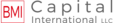 BMI Capital's company profile