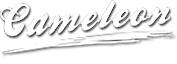 Bollywood Flash Mob's logo Bollywood Flash Mob's Company logo