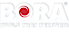 ToughBuilt's Competitor - Bora Tool logo