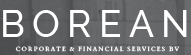 Borean's logo Borean's Company logo