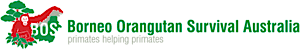 Borneo Orangutan Survival (Bos) Australia