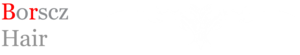 Borscz Hair's logo Borscz Hair's Company logo